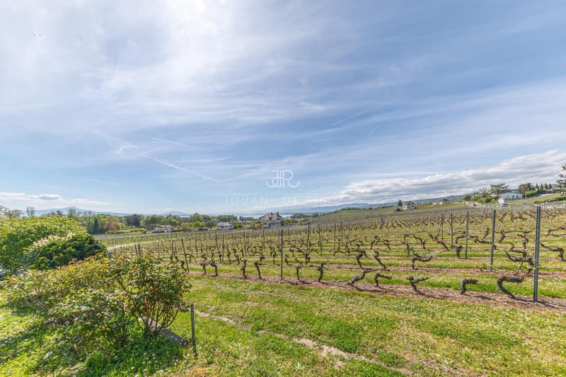 Maison avec charme dans les vignes (9)