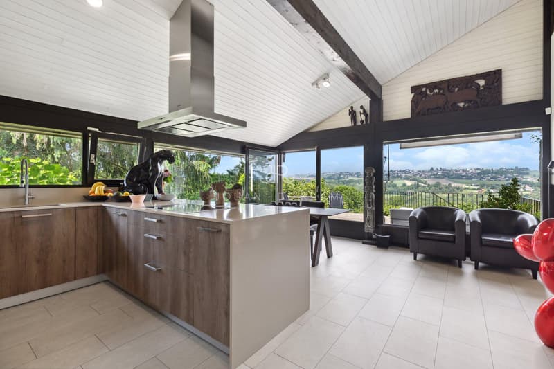 AVULLY: Magnifique maison rénovée avec vue (7)