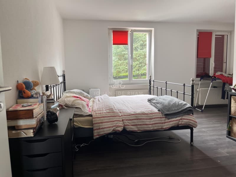 Grand appartement avec vue lac et 4 chambres à louer à Chataigneriaz (10)