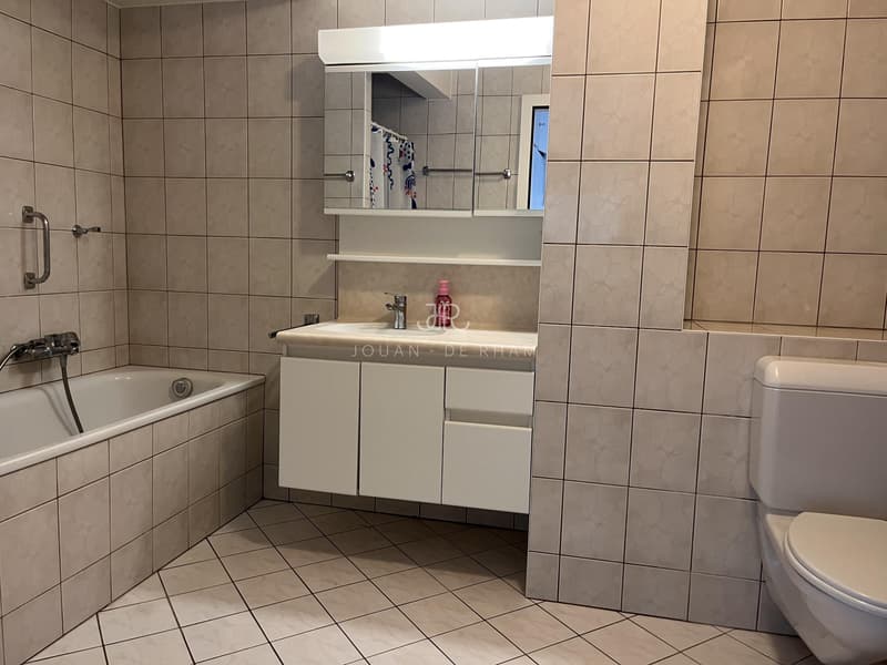 Grand appartement avec vue lac et 4 chambres à louer à Chataigneriaz (8)