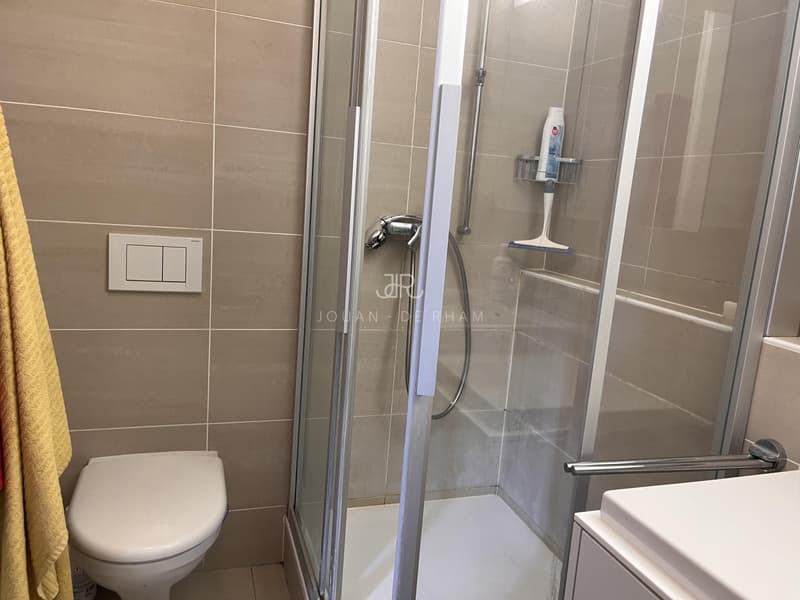 Grand appartement avec vue lac et 4 chambres à louer à Chataigneriaz (7)