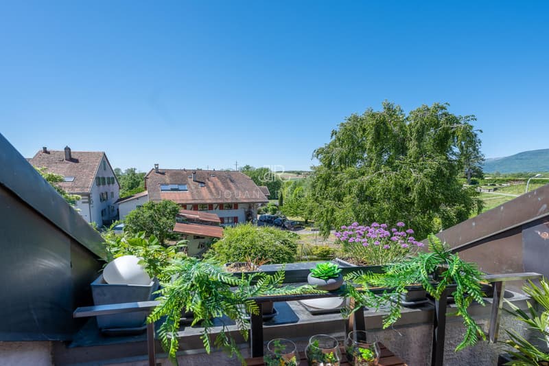 Grand Duplex intégralement rénové proche centre Nyon (Eysins) (8)