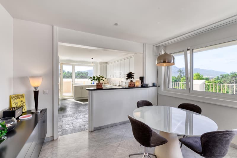 COLOGNY: Appartement de 4 pièces en attique avec vue imprenable vendu en SI (5)