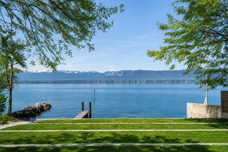 Magnifique villa moderne proche du lac (1)