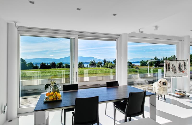 Coppet | Loft de luxe - Attique en duplex aux Perrières (2)
