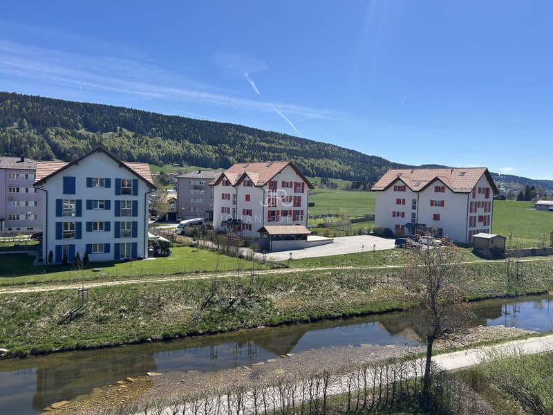 Bel appartement haut standing - Duplex en Attique (2)