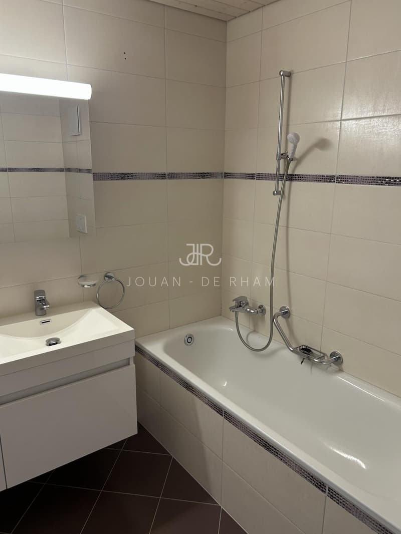 Bel appartement haut standing - Duplex en Attique (5)