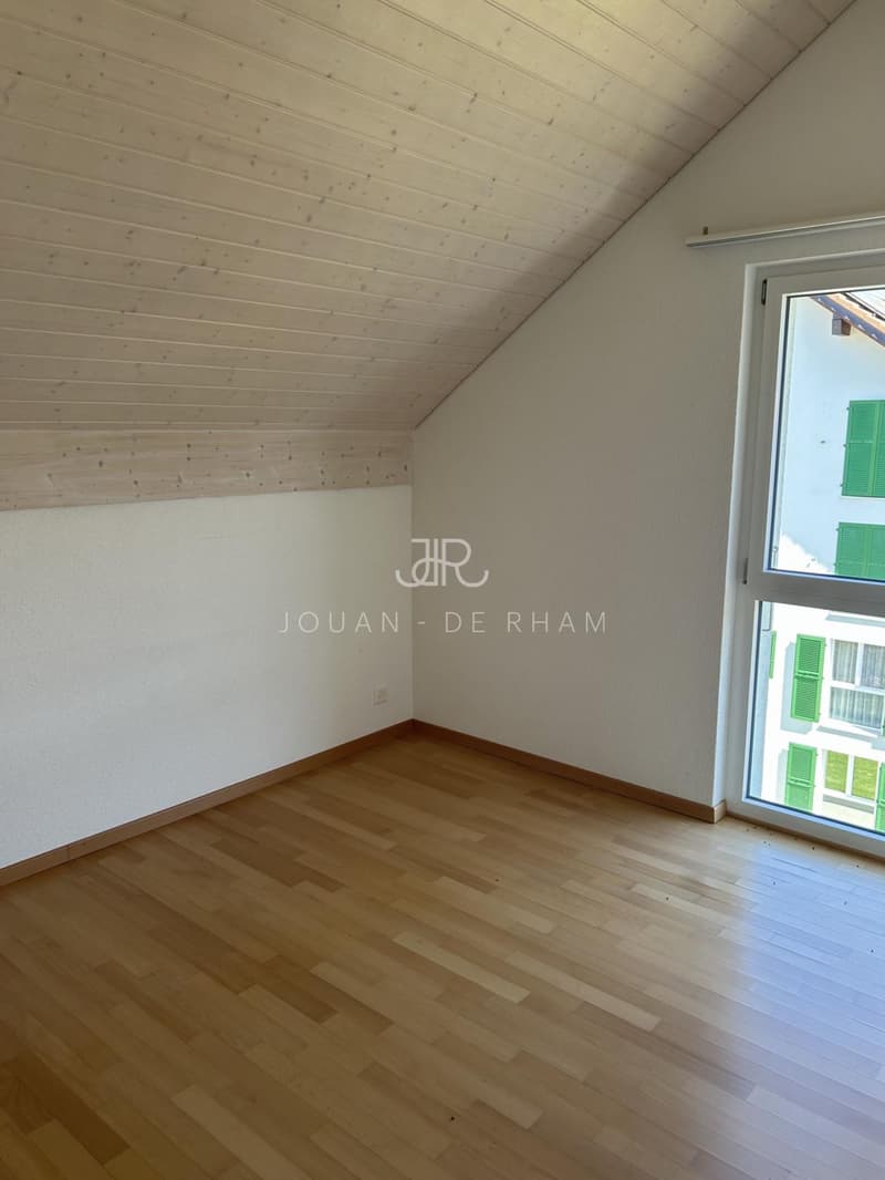 Bel appartement haut standing - Duplex en Attique (6)