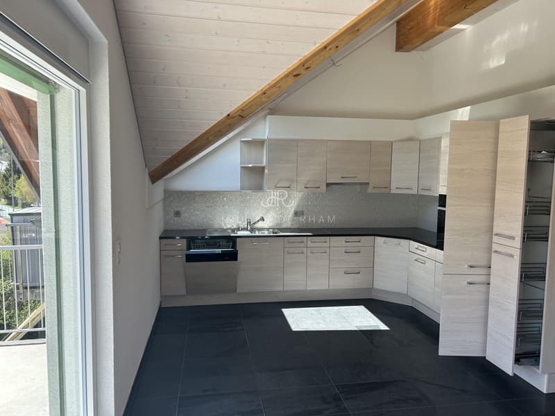 Bel appartement haut standing - Duplex en Attique (4)