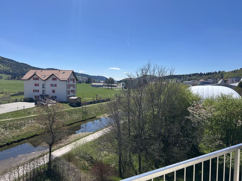 Bel appartement haut standing - Duplex en Attique (9)