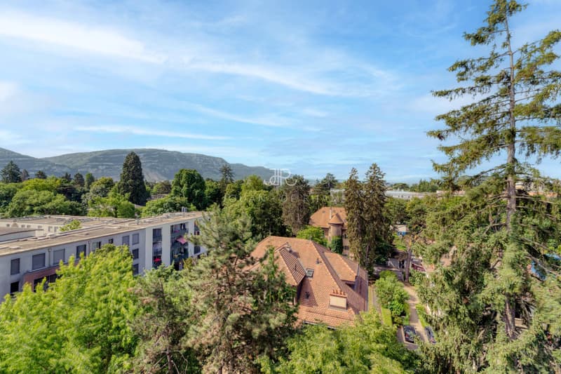 Cologny | Appartement de 4 pièces en attique avec vue imprenable (3)
