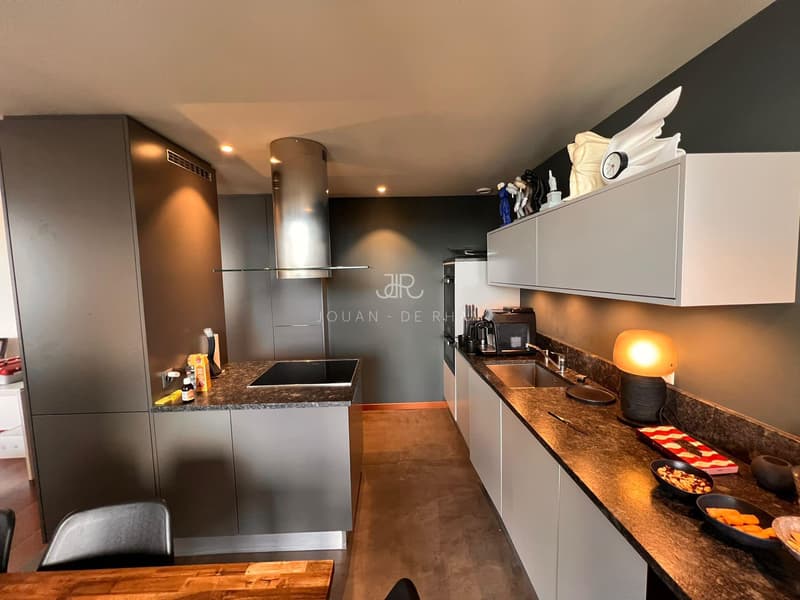 Cologny : magnifique appartement de 4 pièces en attique dans un parc de 3 hectares (4)