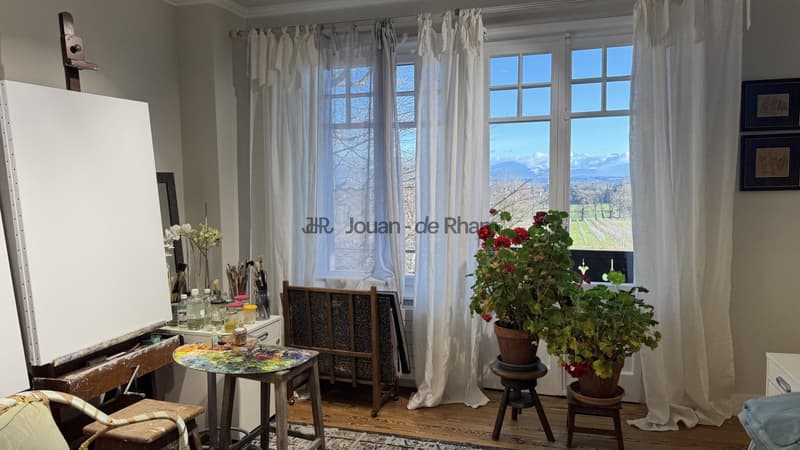 Collex-Bossy | Beau chalet de charme rénové hors niusances (9)