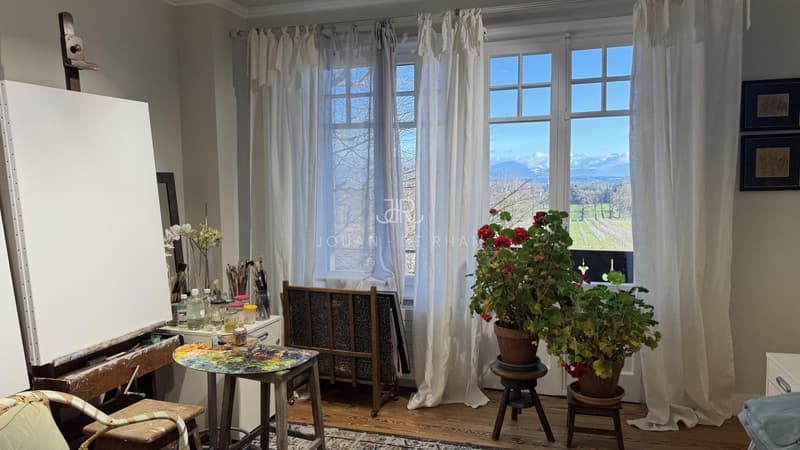 Collex-Bossy | Beau chalet de charme rénové hors niusances (9)
