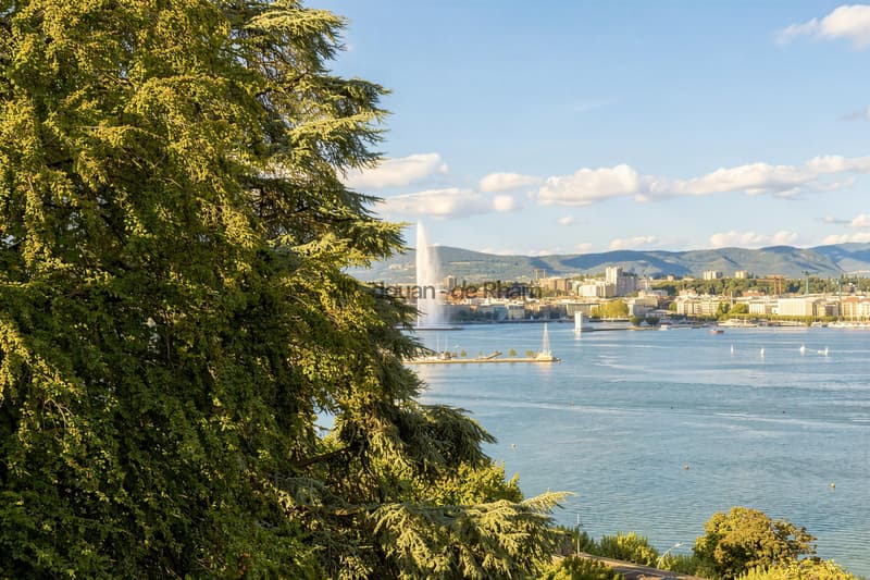 Propriété luxueuse à Cologny (1)