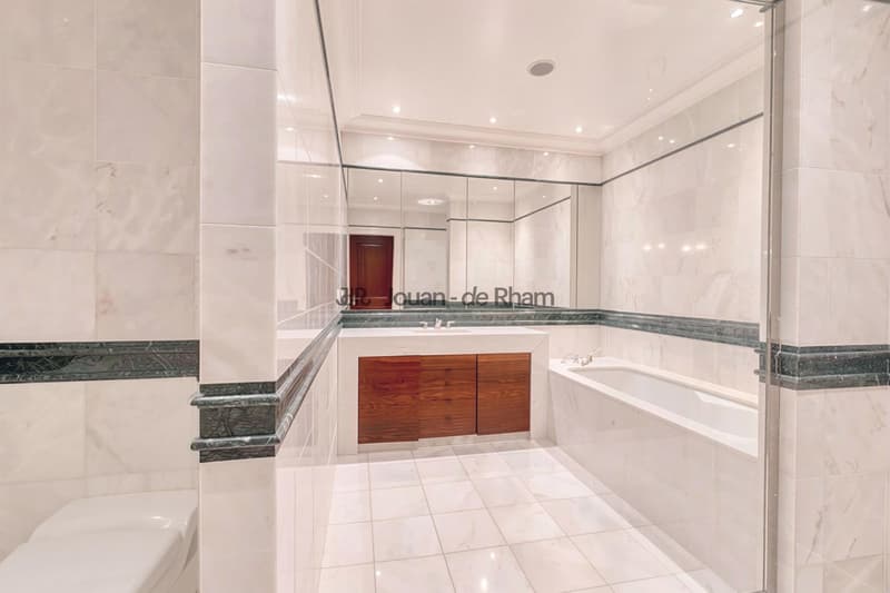 Magnifique appartement de prestige face au lac (9)