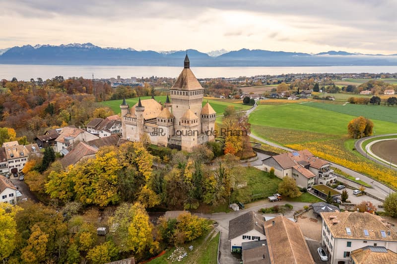 Vufflens-le-Château | Magnifique villa vaudoise rénovée avec vue dégagée (4)