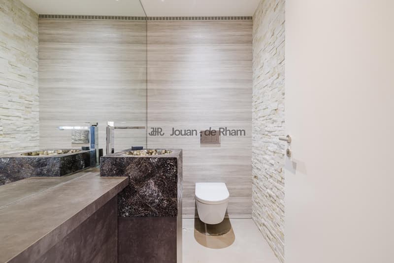 COLOGNY | Magnifique appartement 6 pièces idéalement situé entre ville et campagne. (7)