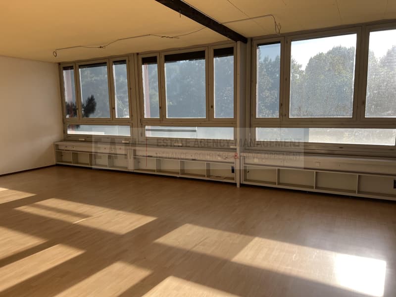 Tanzstudio und Musikraum In Teufenthal AG (2)