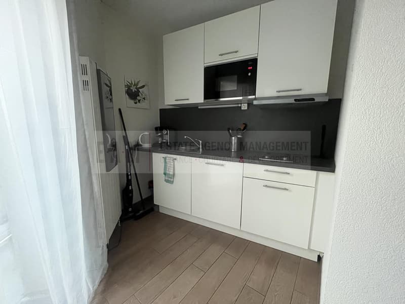 Studio meublé à proximité des HUG et de l'Université de Genève (3)