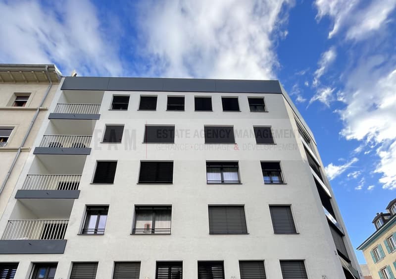 Studio meublé à proximité des HUG et de l'Université de Genève (1)