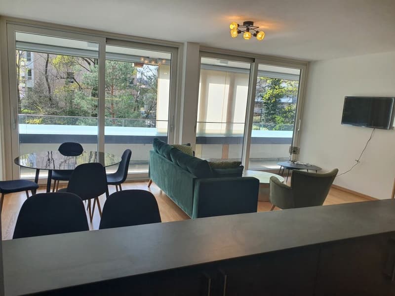 Lot de deux appartement à Florissant (4)