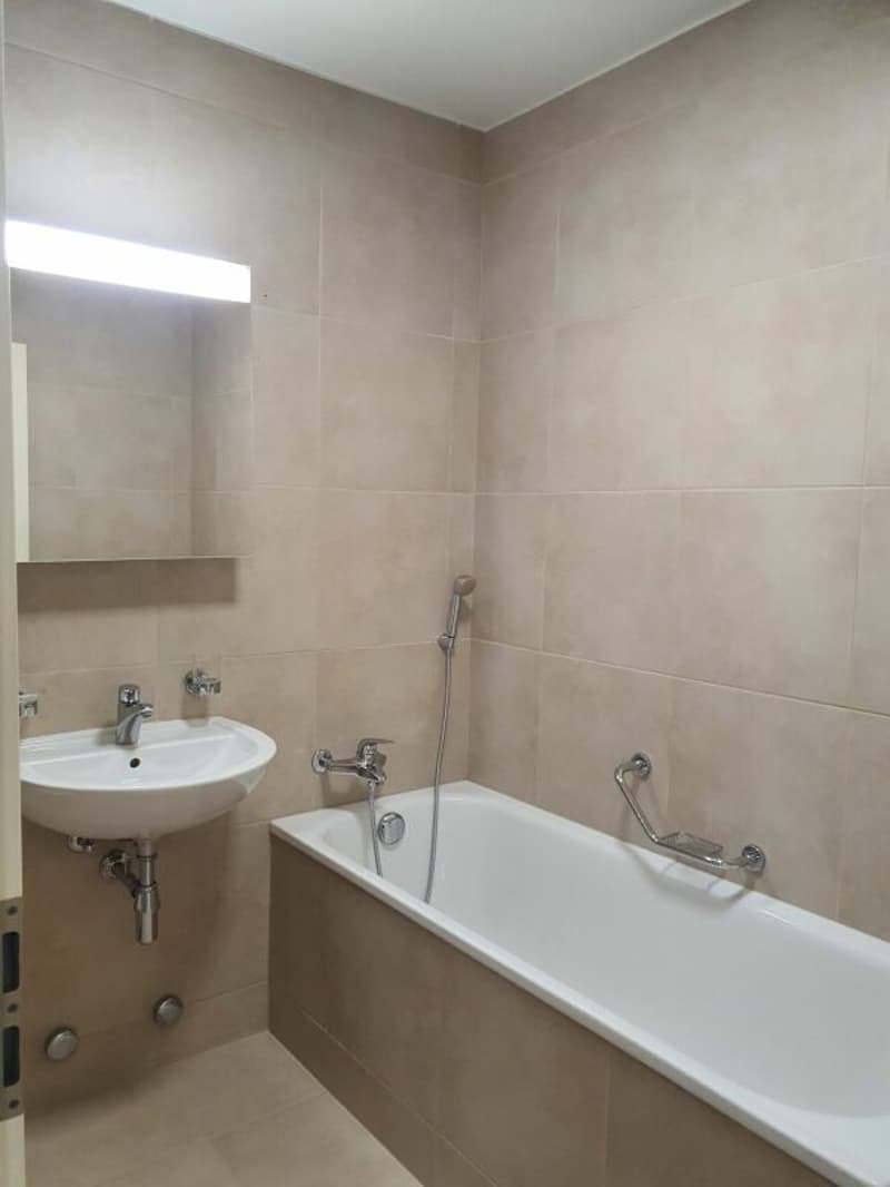 Lot de deux appartement à Florissant (5)