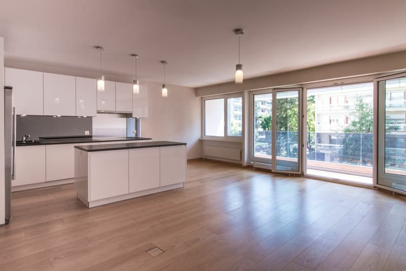 Lot de deux appartements de 4 pièces à Champel (2)