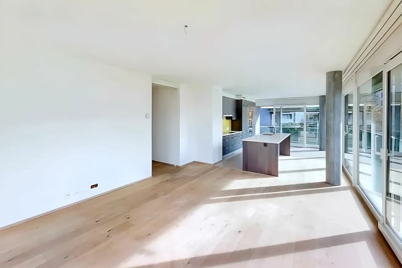 Superbe Appartement de 5 pièces avec grand balcon de 40m2 (2)