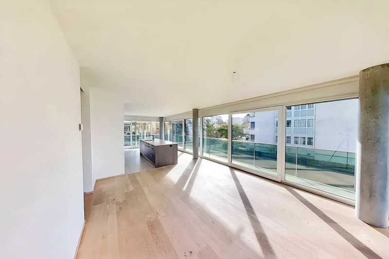 Superbe Appartement de 5 pièces avec grand balcon de 40m2 (4)