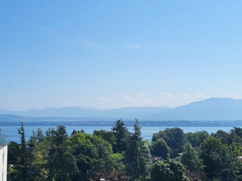 Appartement de 6 pièces avec belle vue sur le lac (12)