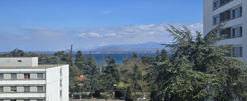 Appartement de 6 pièces avec belle vue sur le lac (2)
