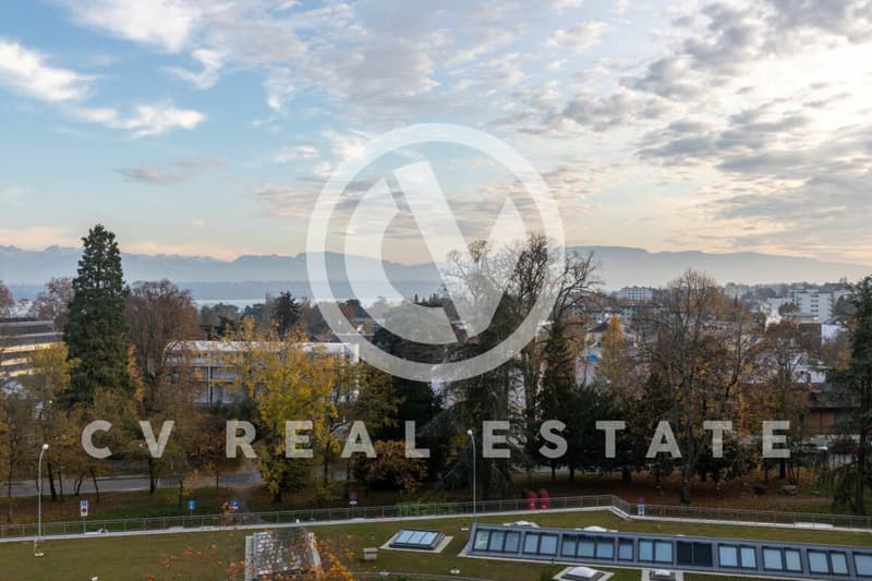 Appartement de 6 pièces avec belle vue sur le lac (13)
