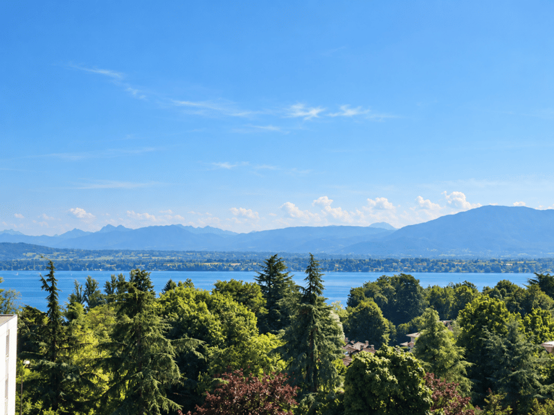 Appartement de 6 pièces avec belle vue sur le lac (13)