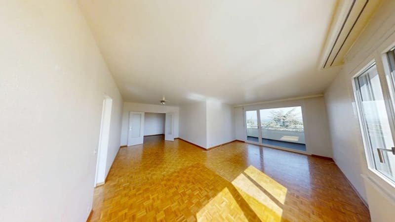 Appartement de 6 pièces avec belle vue sur le lac (2)