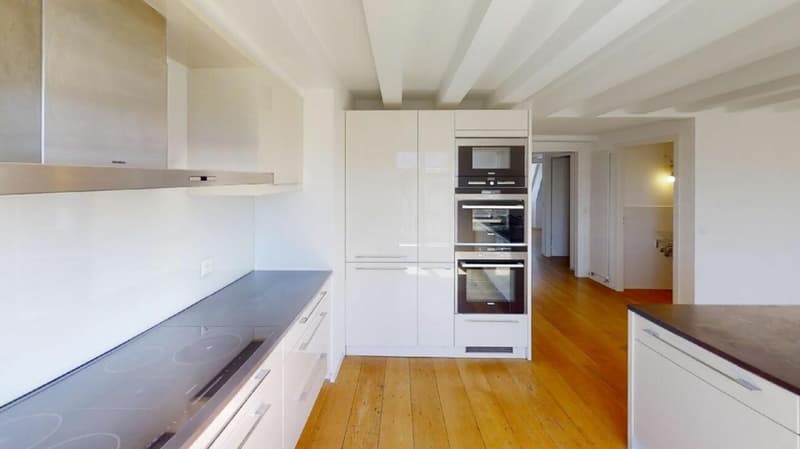 Appartement en attique à louer au centre-ville (8)
