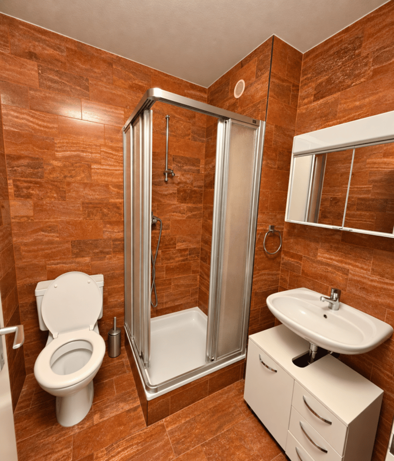 Villa familiale Grand-Lancy (12)