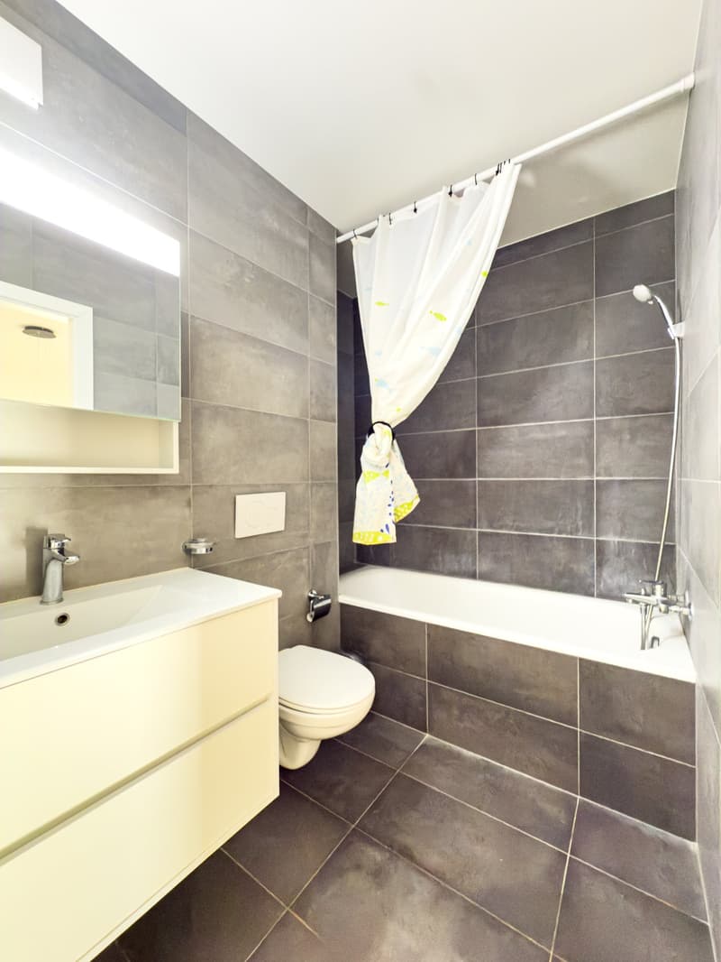 The image shows a modern bathroom with gray tile walls, a white vanity with a sink, a toilet, and a bathtub with a shower curtain. The bathroom appears to be clean and well-maintained.