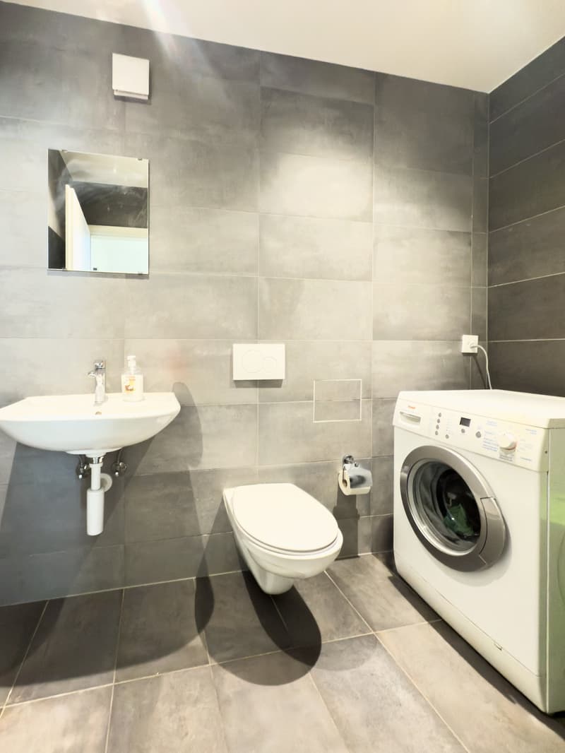Bathroom with gray tile walls, white sink, toilet, and a washing machine and dishwasher present.