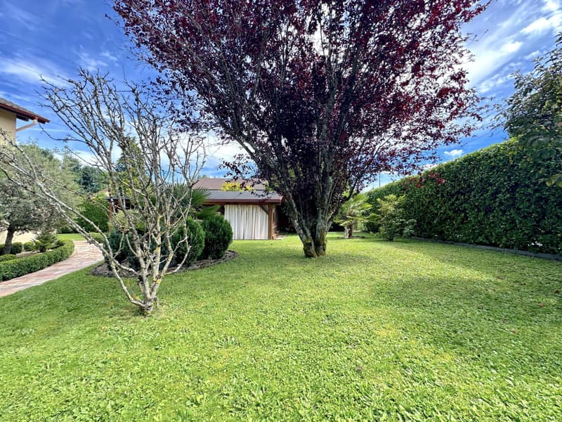 1297 Founex