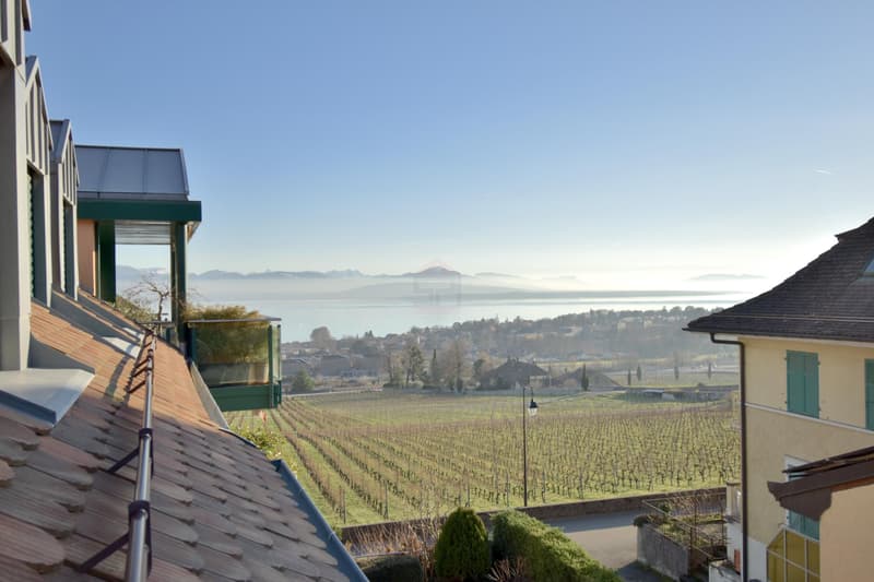 Duplex de 124 m² avec vue panoramique sur le lac et les vignes | homegate.ch