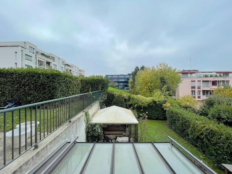 1217 Meyrin