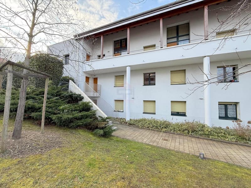 1217 Meyrin