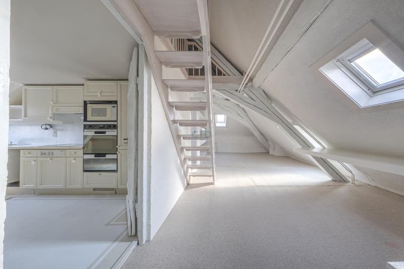 Magnifique villa de maître (12)