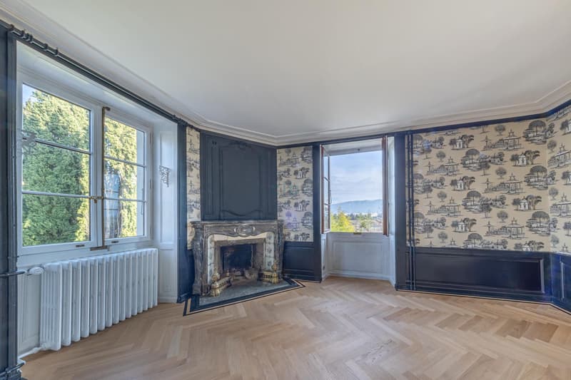 Magnifique villa de maître (9)