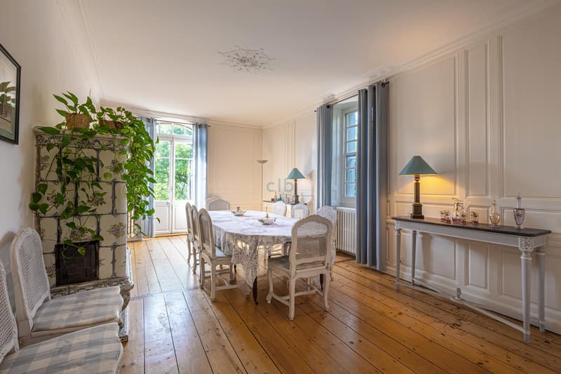 Magnifique villa de maître (5)