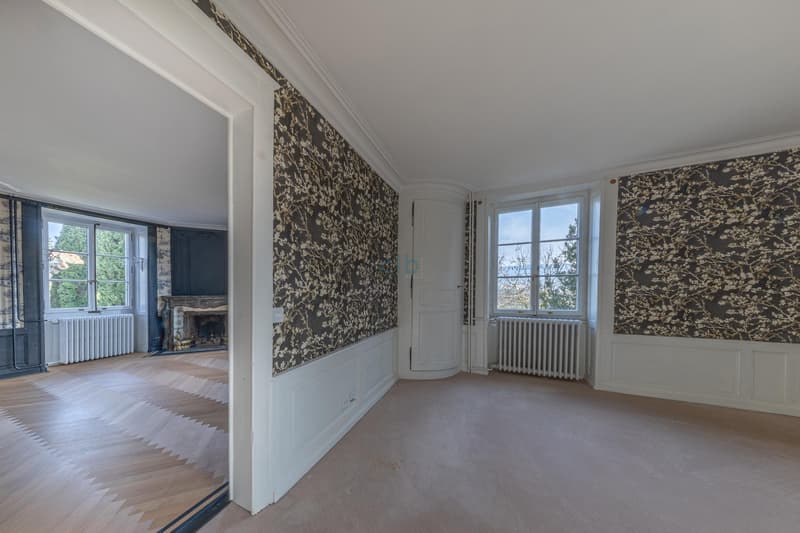 Magnifique villa de maître (10)