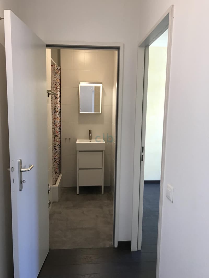 A LOUER PLAINPALAIS -Très bel appartement de 5 pièces avec balcon (13)