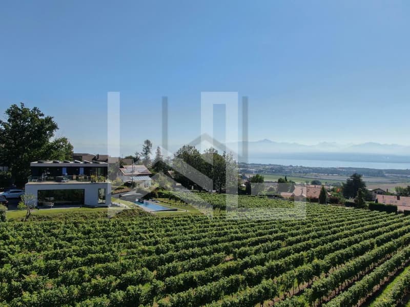 Villa contemporaine avec vue Lac en plein milieu des vignes (2)