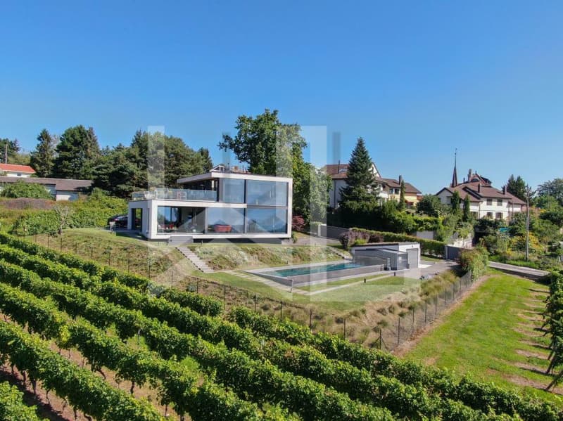 Villa contemporaine avec vue Lac en plein milieu des vignes (1)